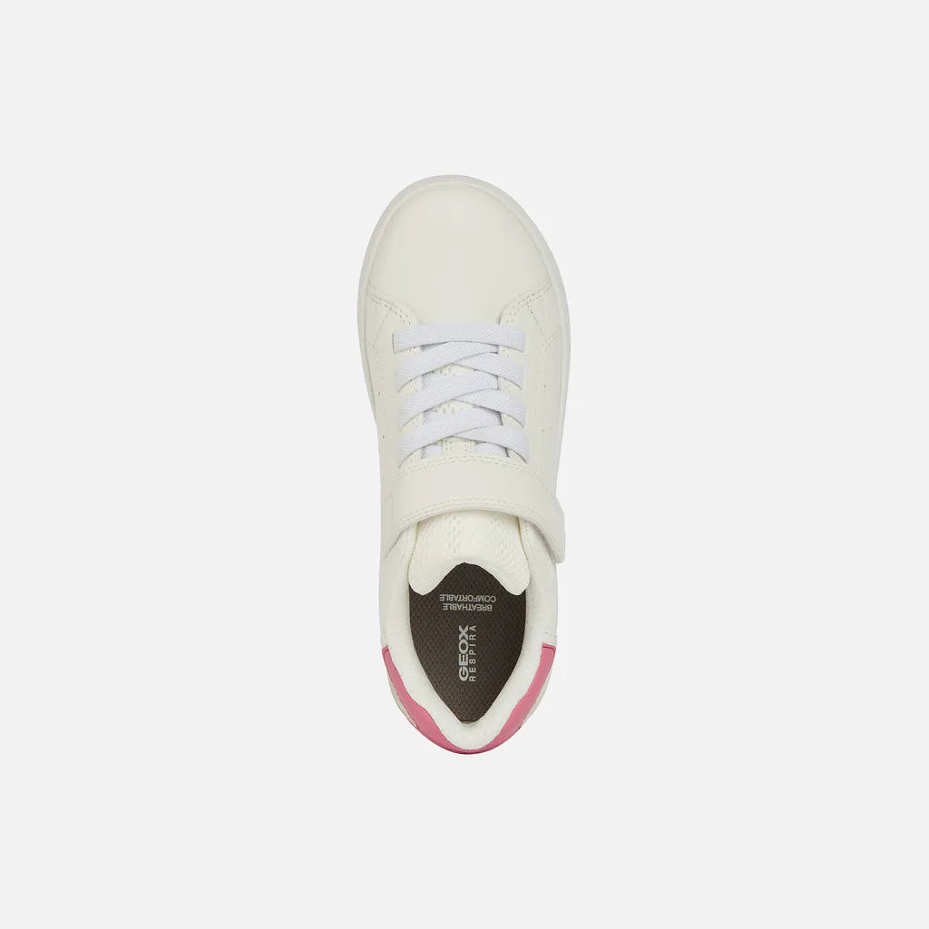 White/Fuchsia