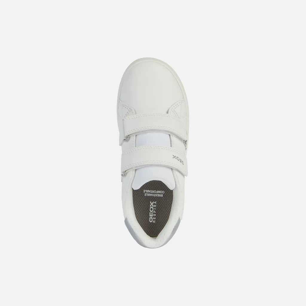 White/Silver