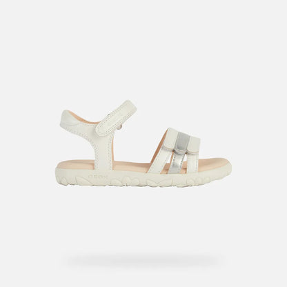White/Silver
