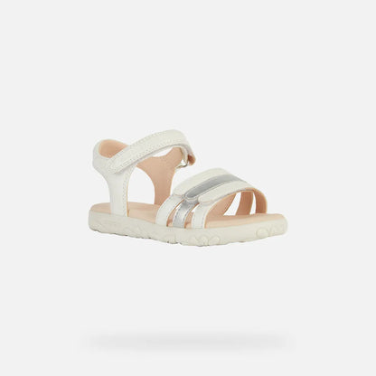 White/Silver