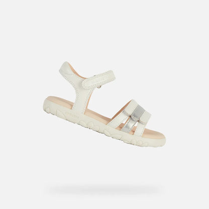 White/Silver