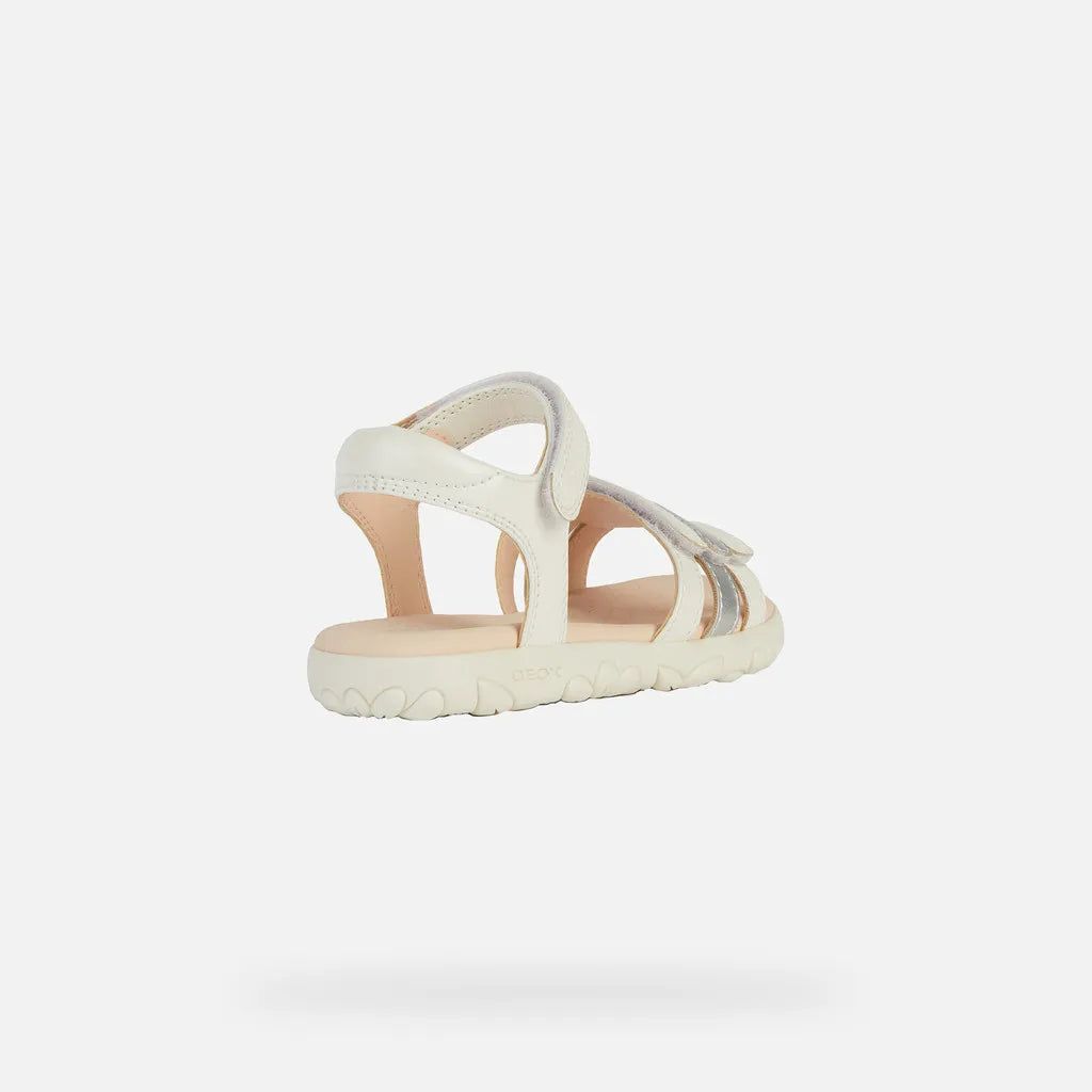 White/Silver