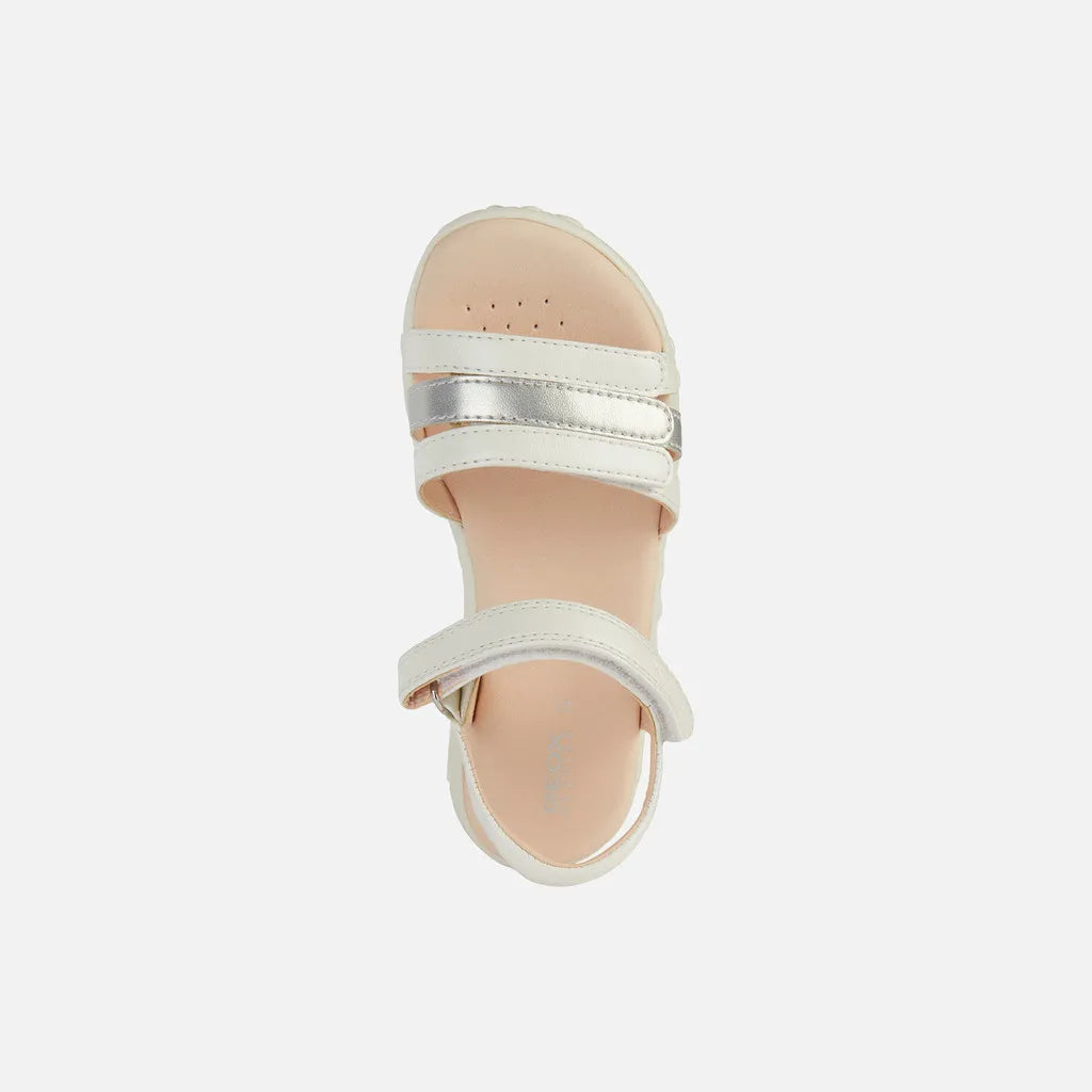 White/Silver