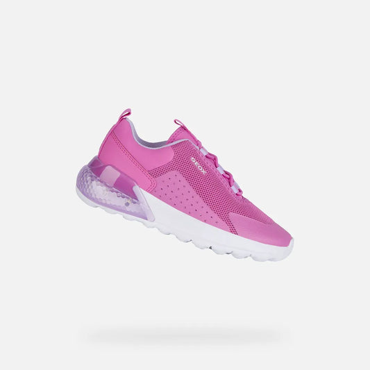 Fuchsia/Lilac