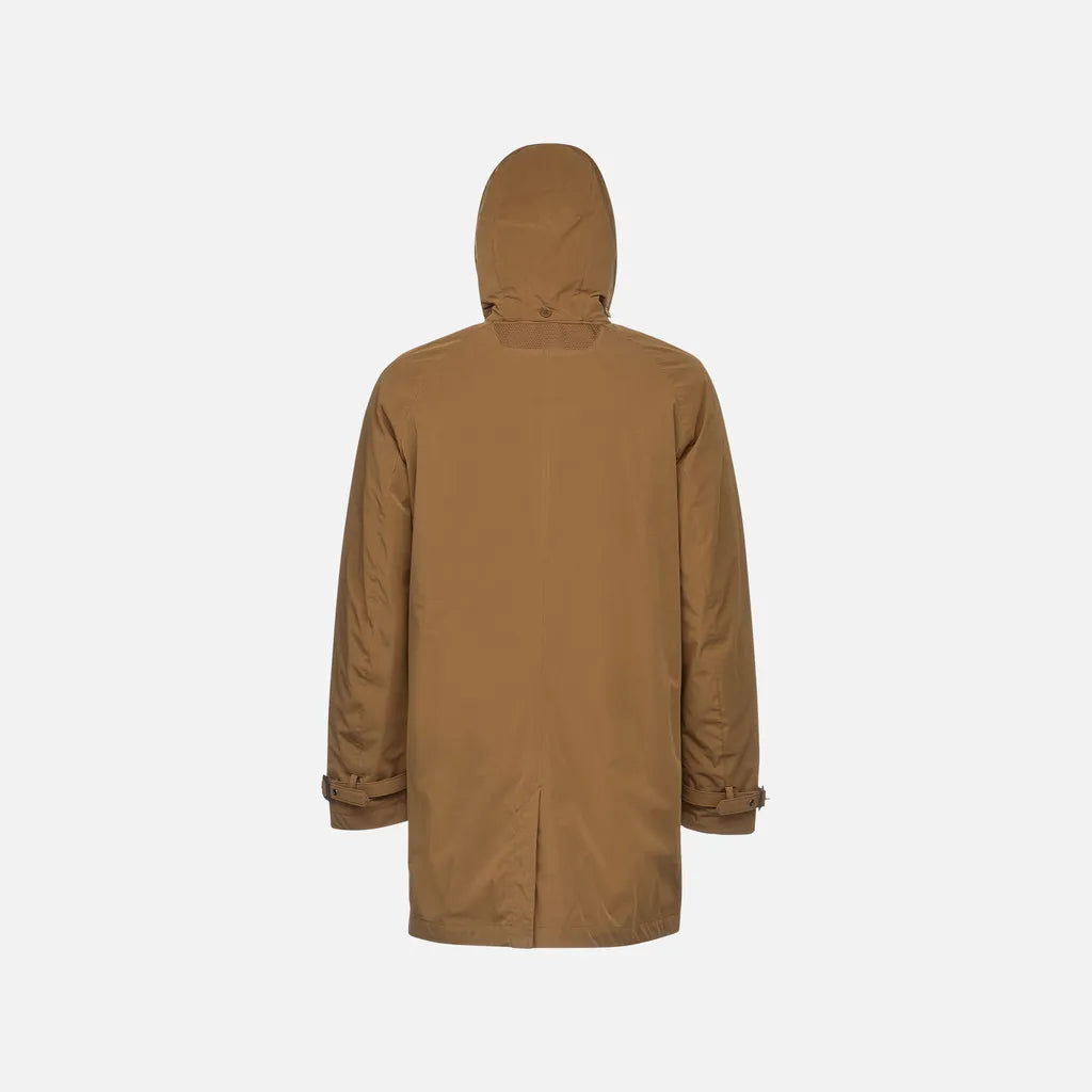 Hazelnut Brown