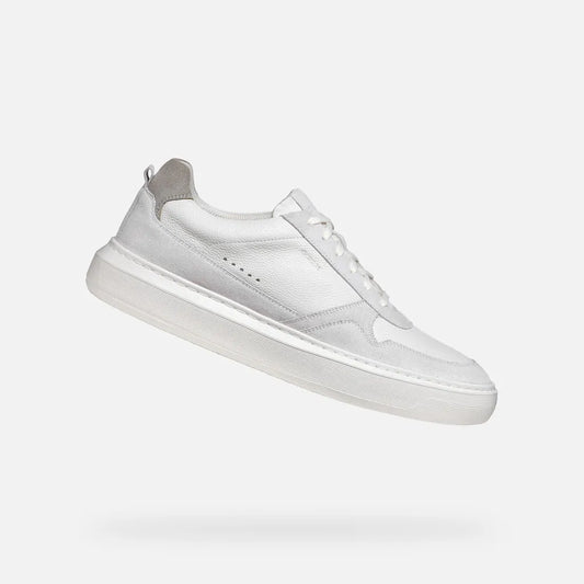 Off White/White