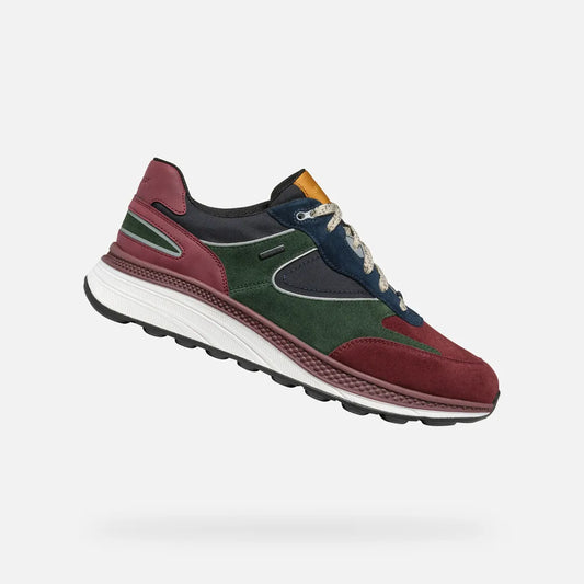 Wine/Dark green