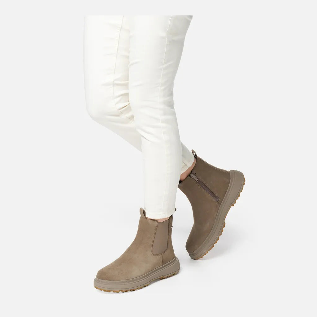 Taupe