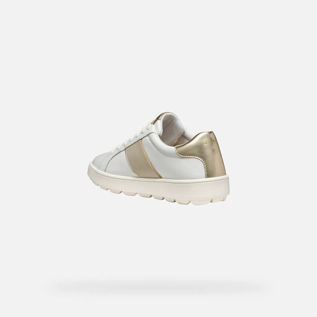 White/Lt Taupe