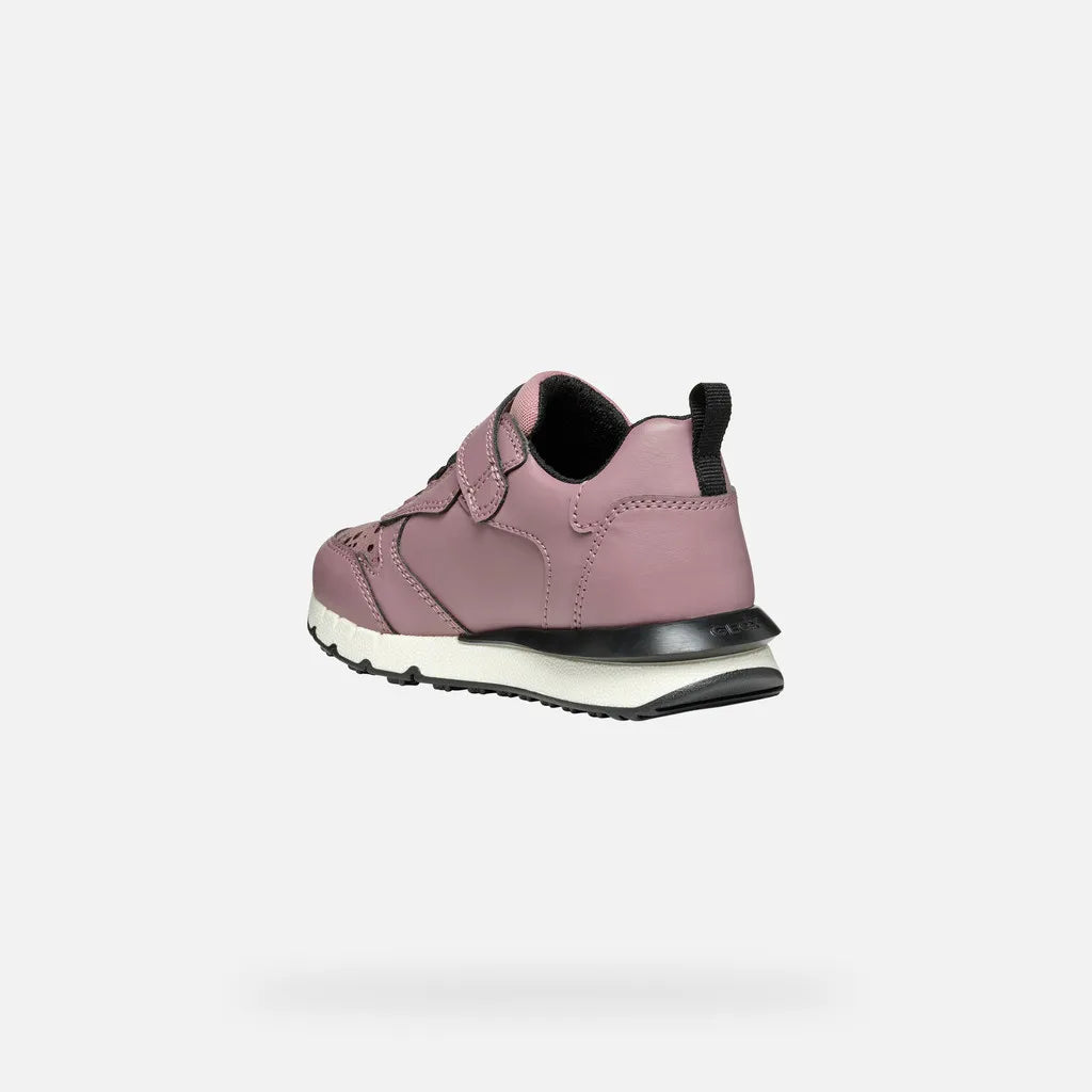 Dark Pink