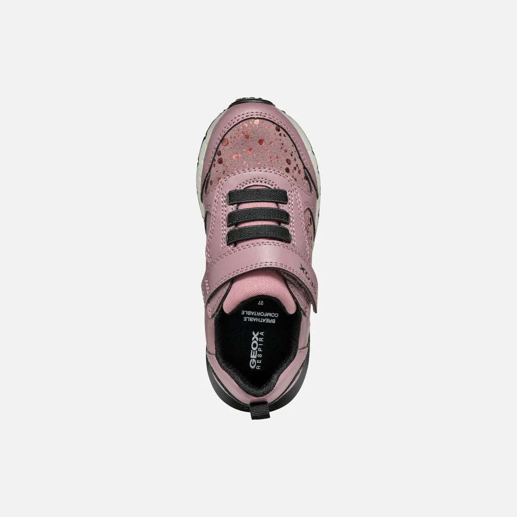 Dark Pink