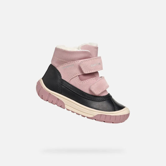 Black/Rose