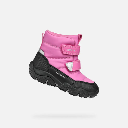 Fuchsia/Black