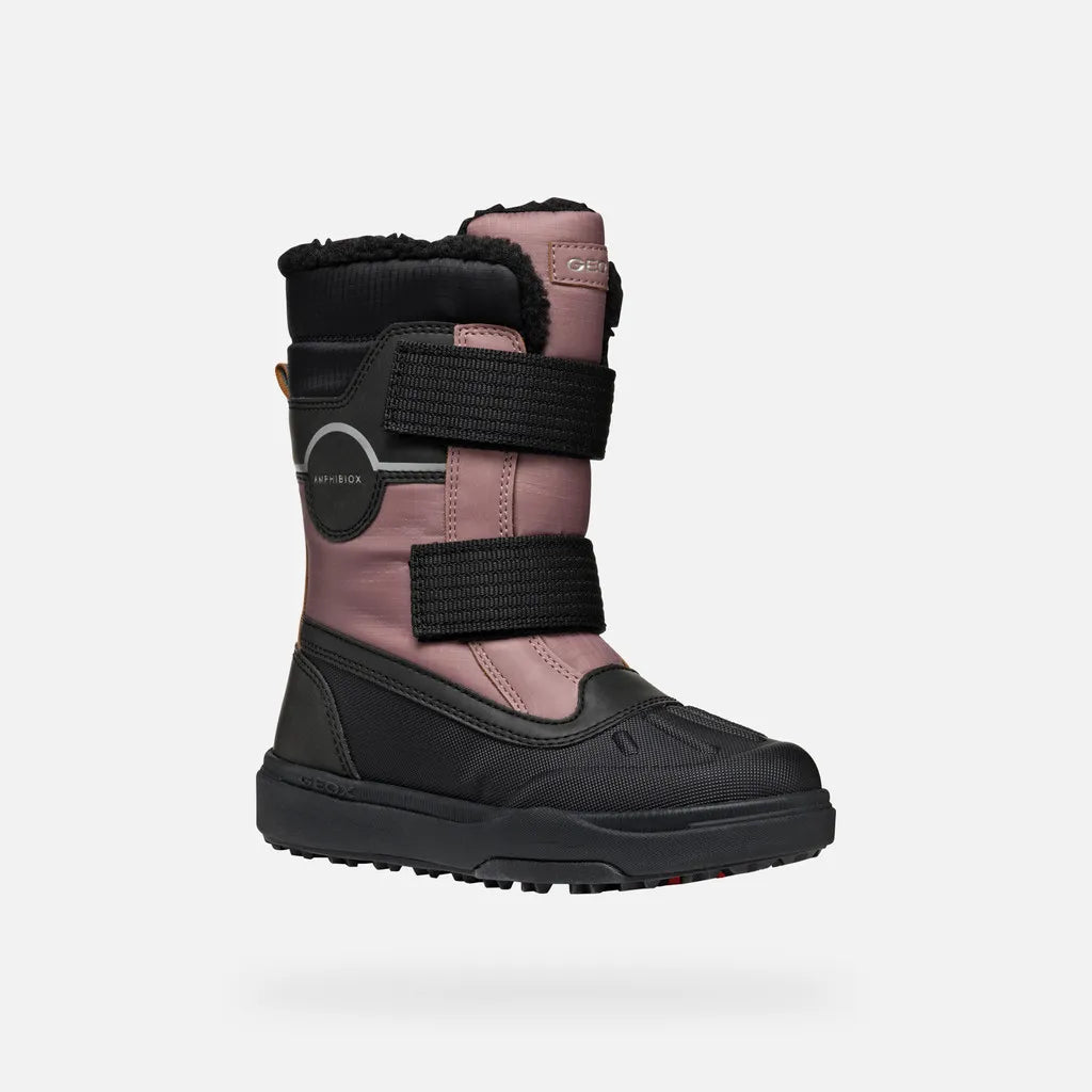 Dark rose/Black