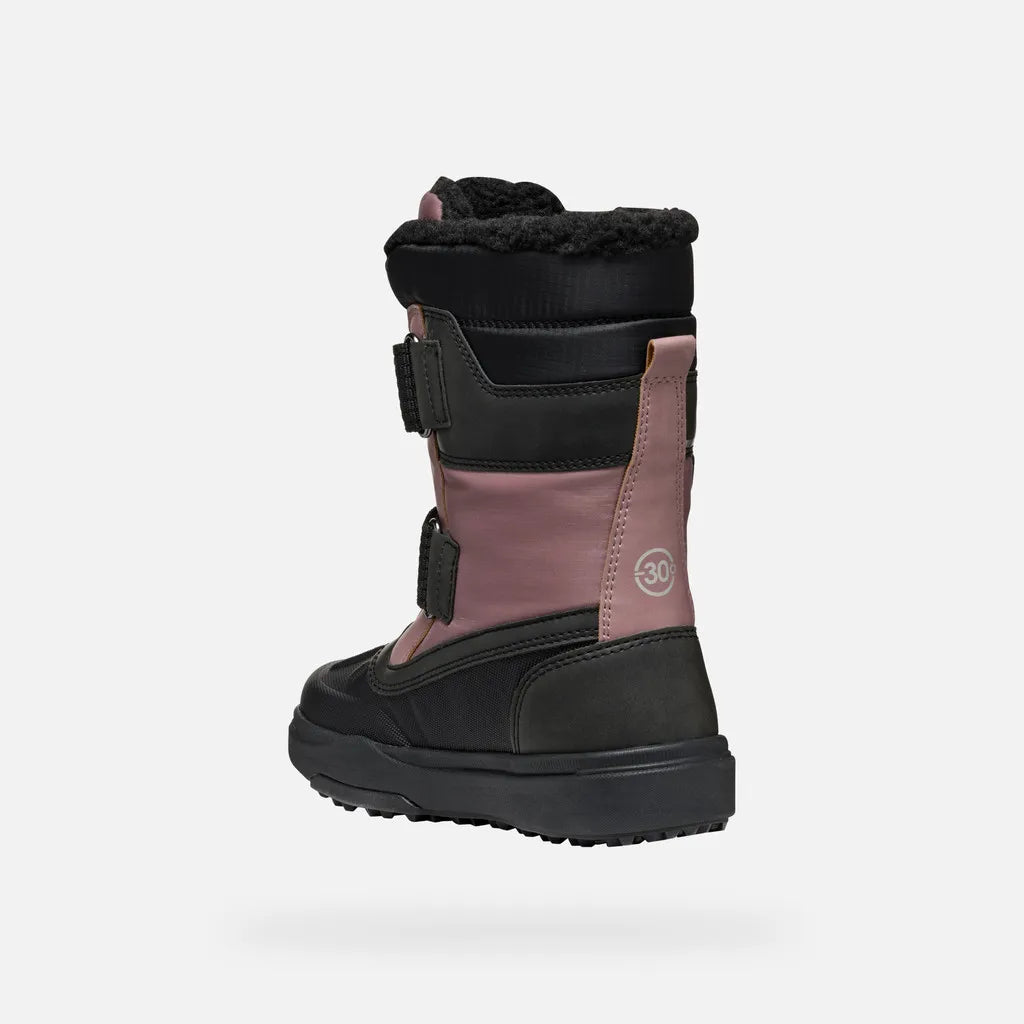 Dark rose/Black