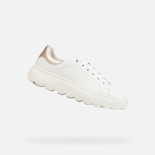 White/Light Gold