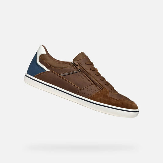 Browncotto/Dark avio