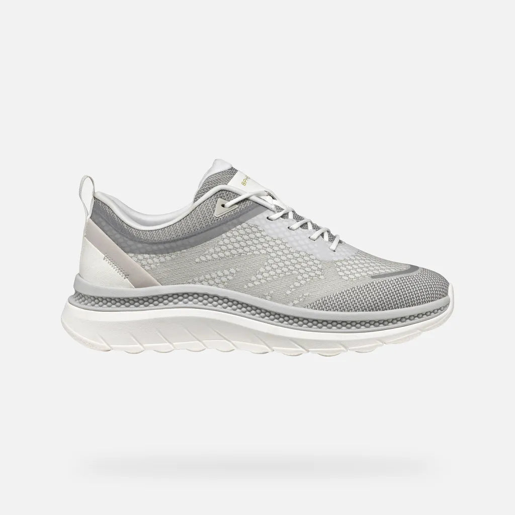 White/Light Gray