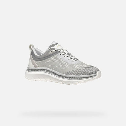 White/Light Gray