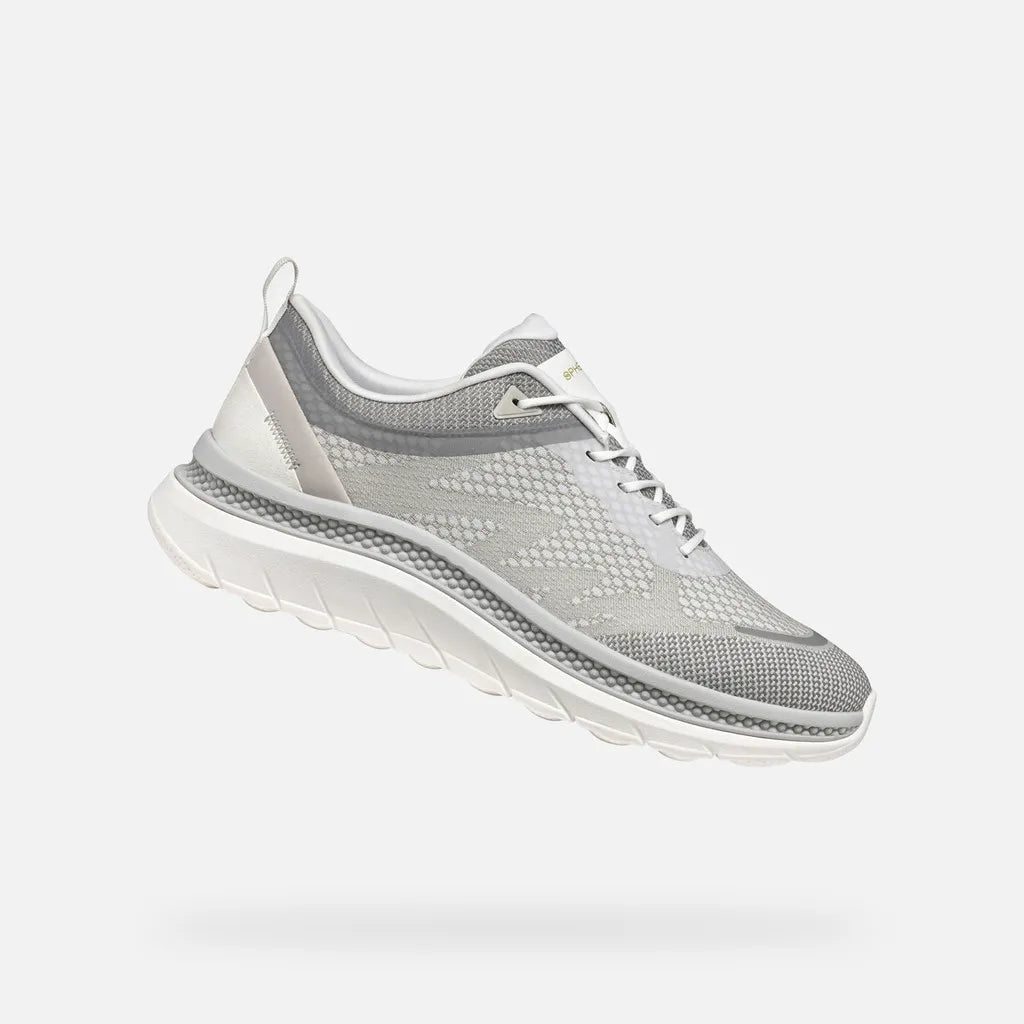 White/Light Gray