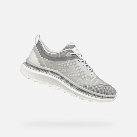 White/Light Gray