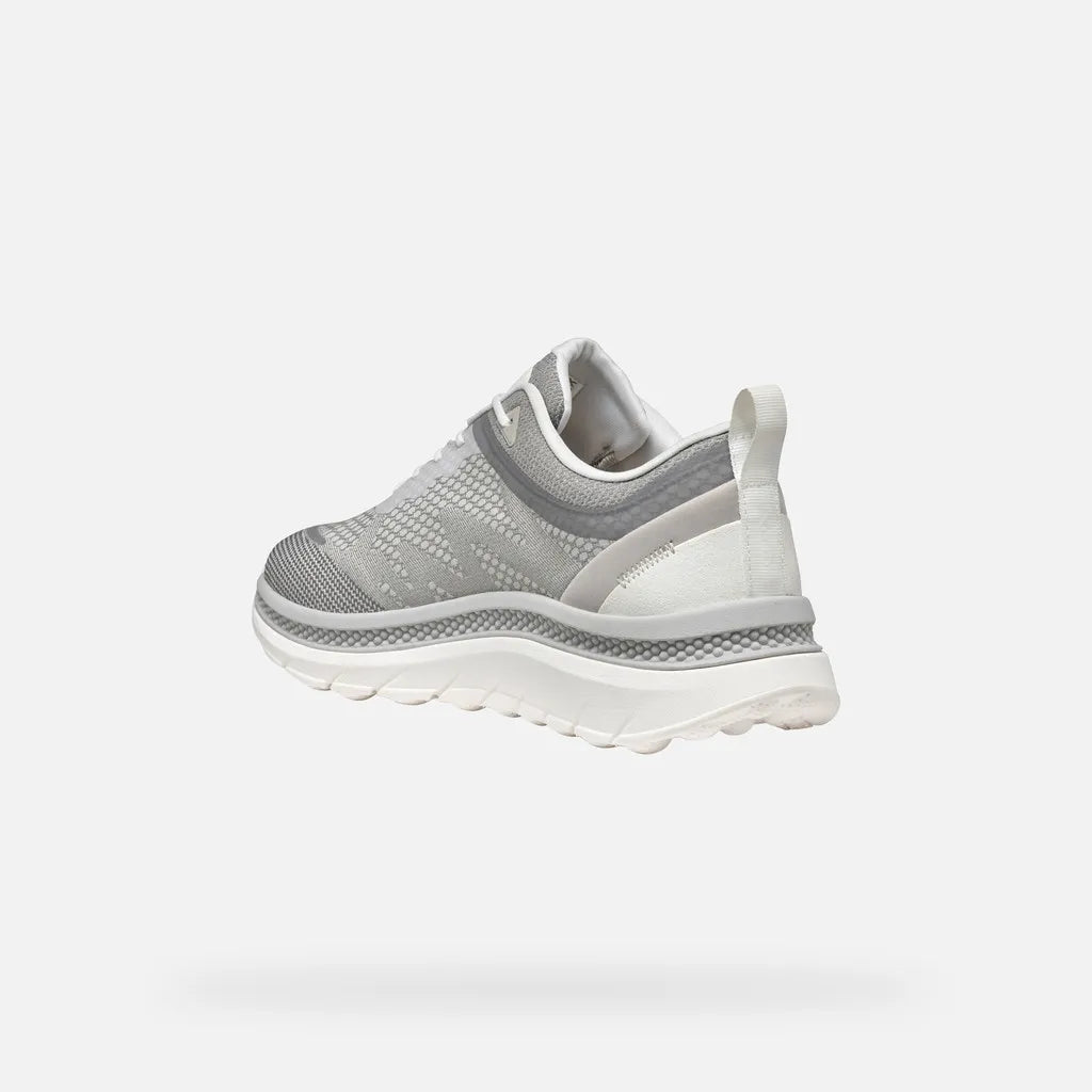 White/Light Gray