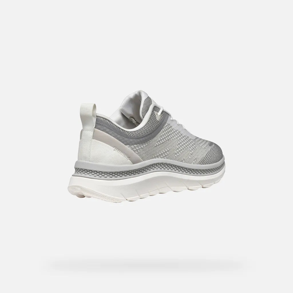 White/Light Gray