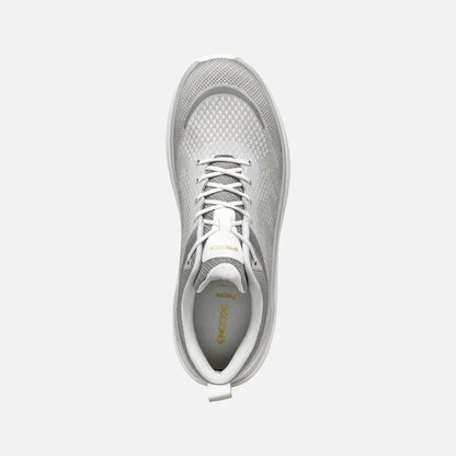 White/Light Gray