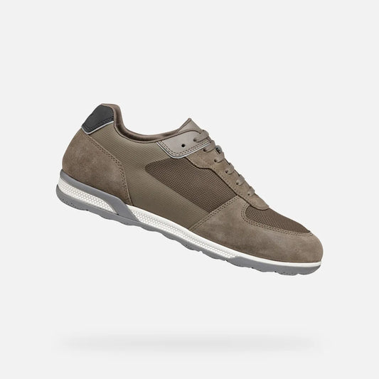 Dove Gray