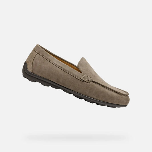 Dove Gray