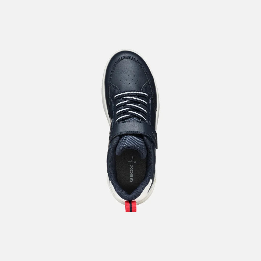 Navy/White