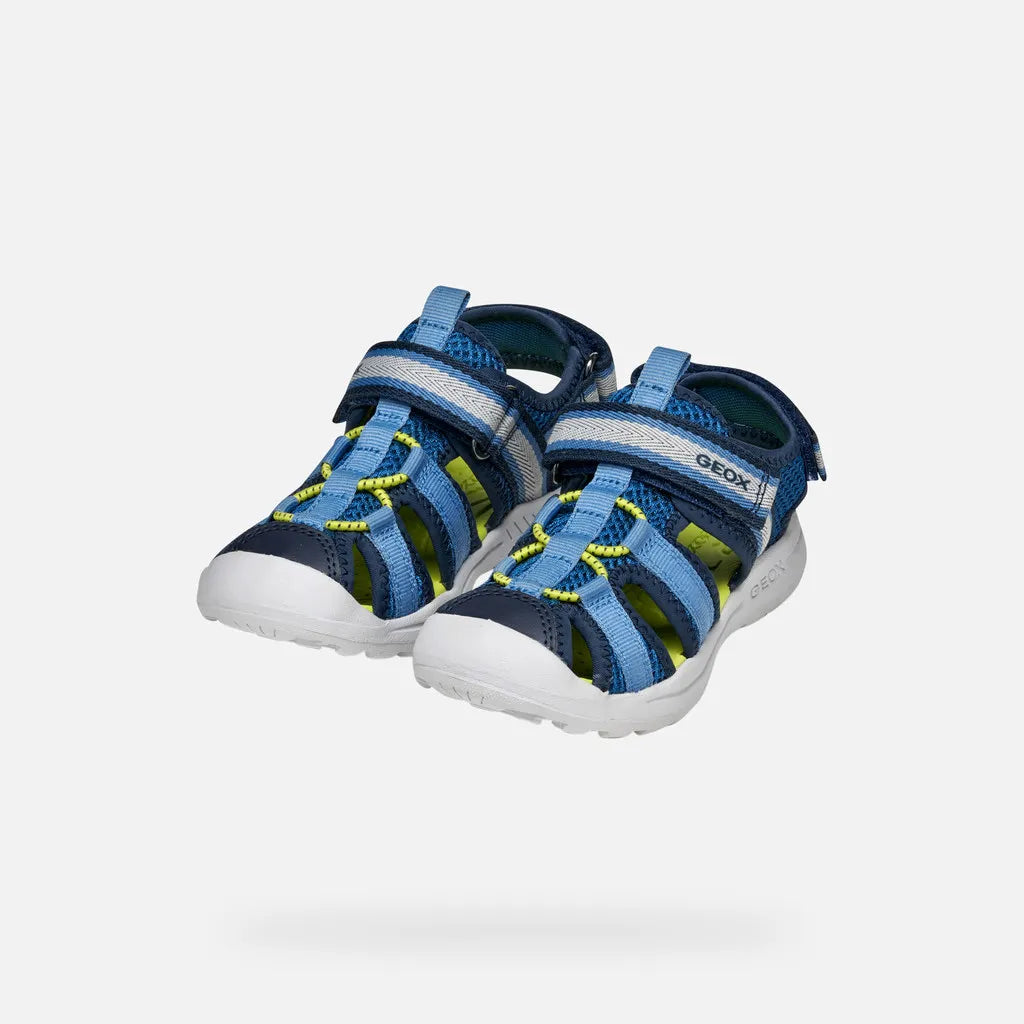Navy/Light Blue