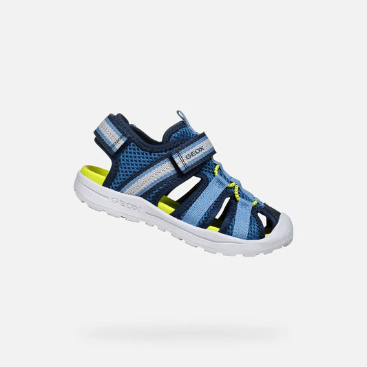 Navy/Light Blue
