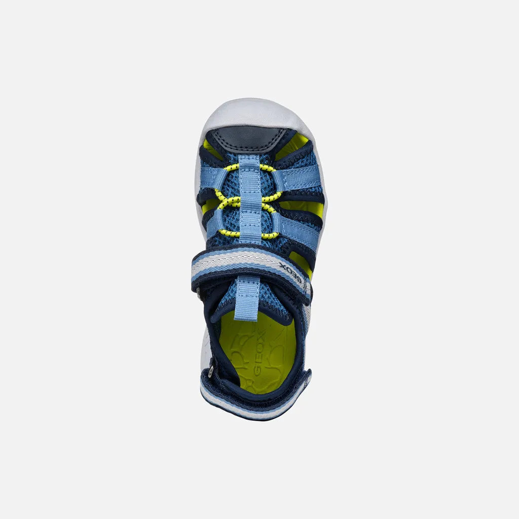 Navy/Light Blue