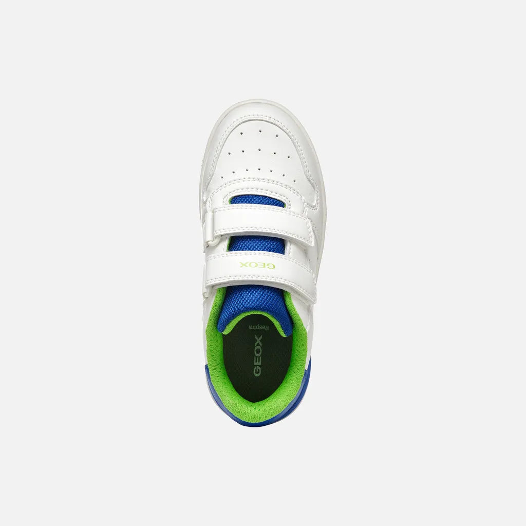 White/Royal