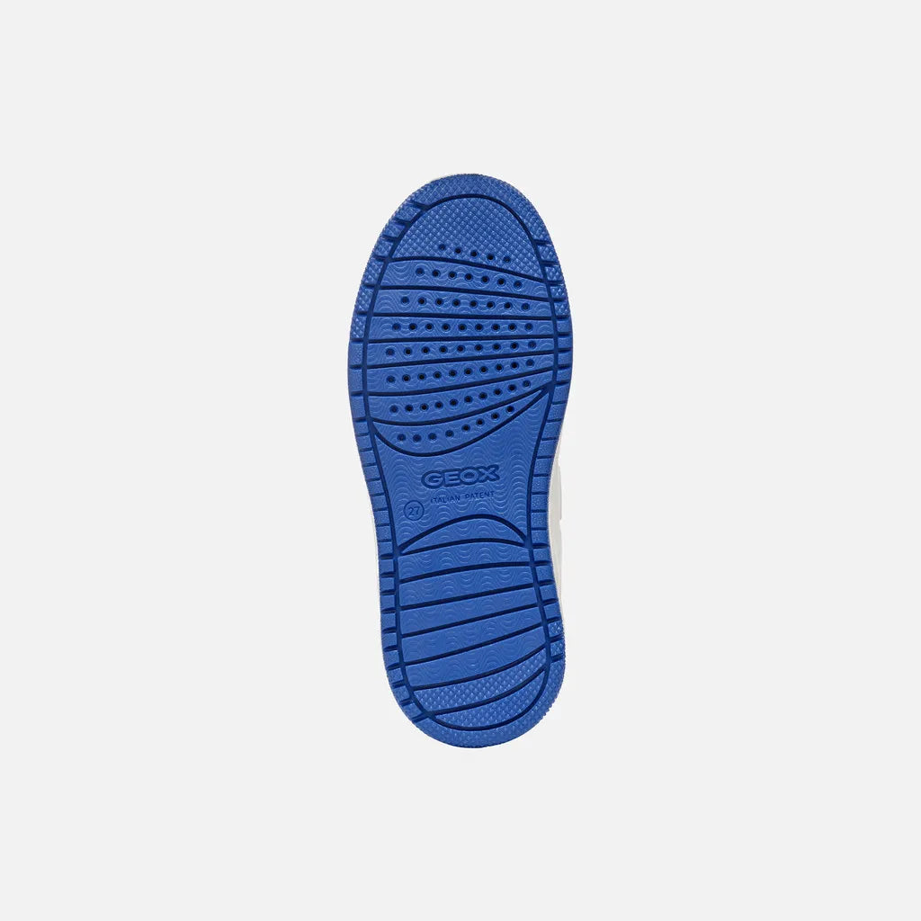 White/Royal