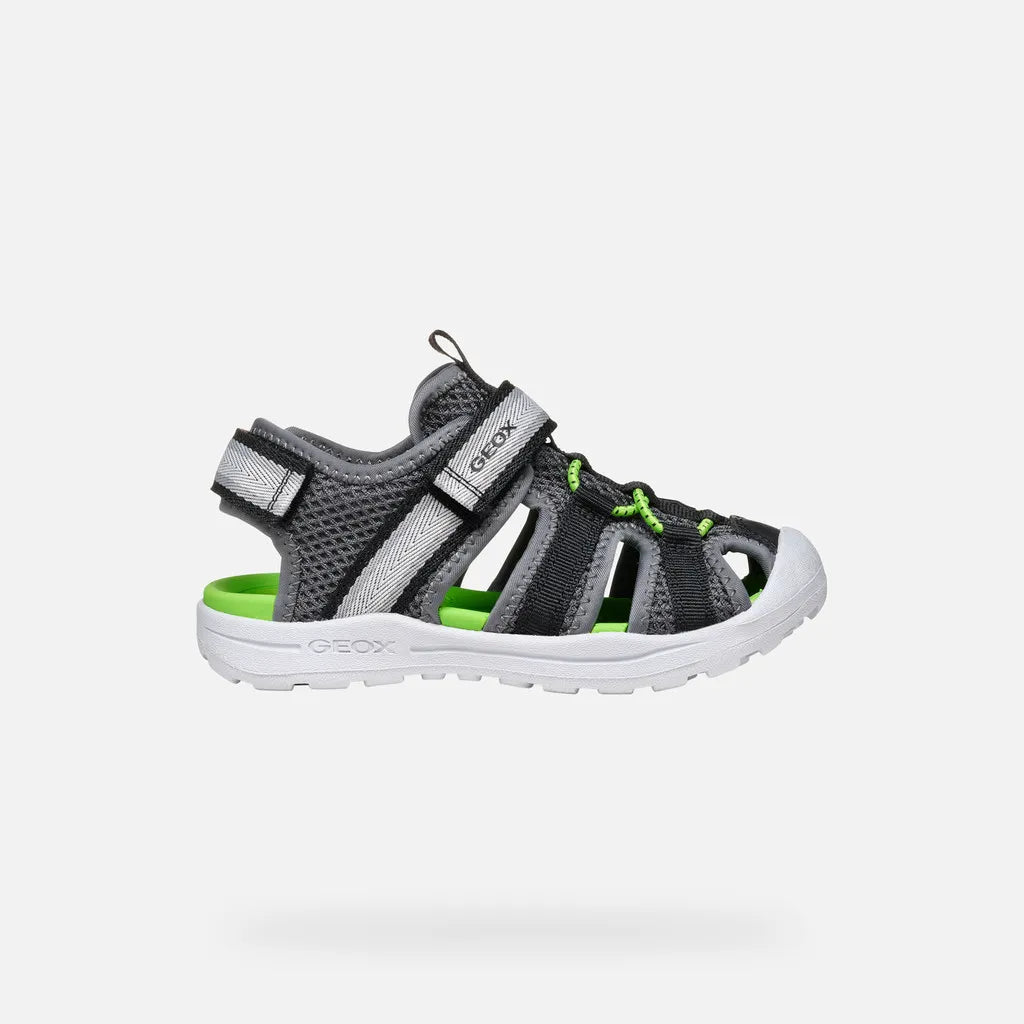 Dark Gray/Green