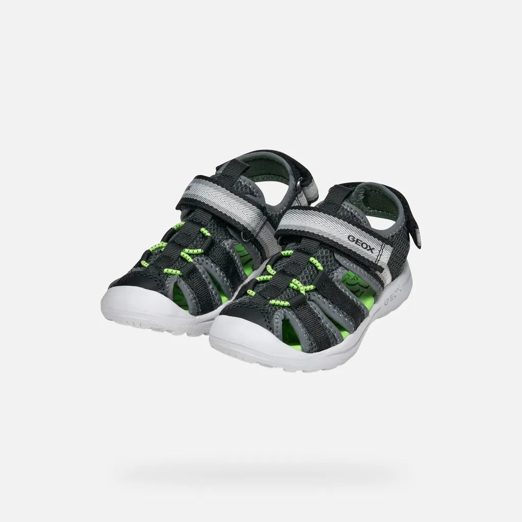 Dark Gray/Green