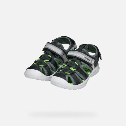 Dark Gray/Green