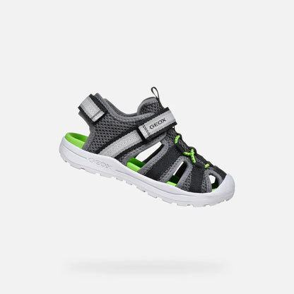 Dark Gray/Green
