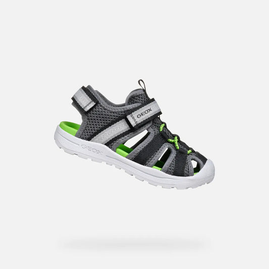 Dark Gray/Green