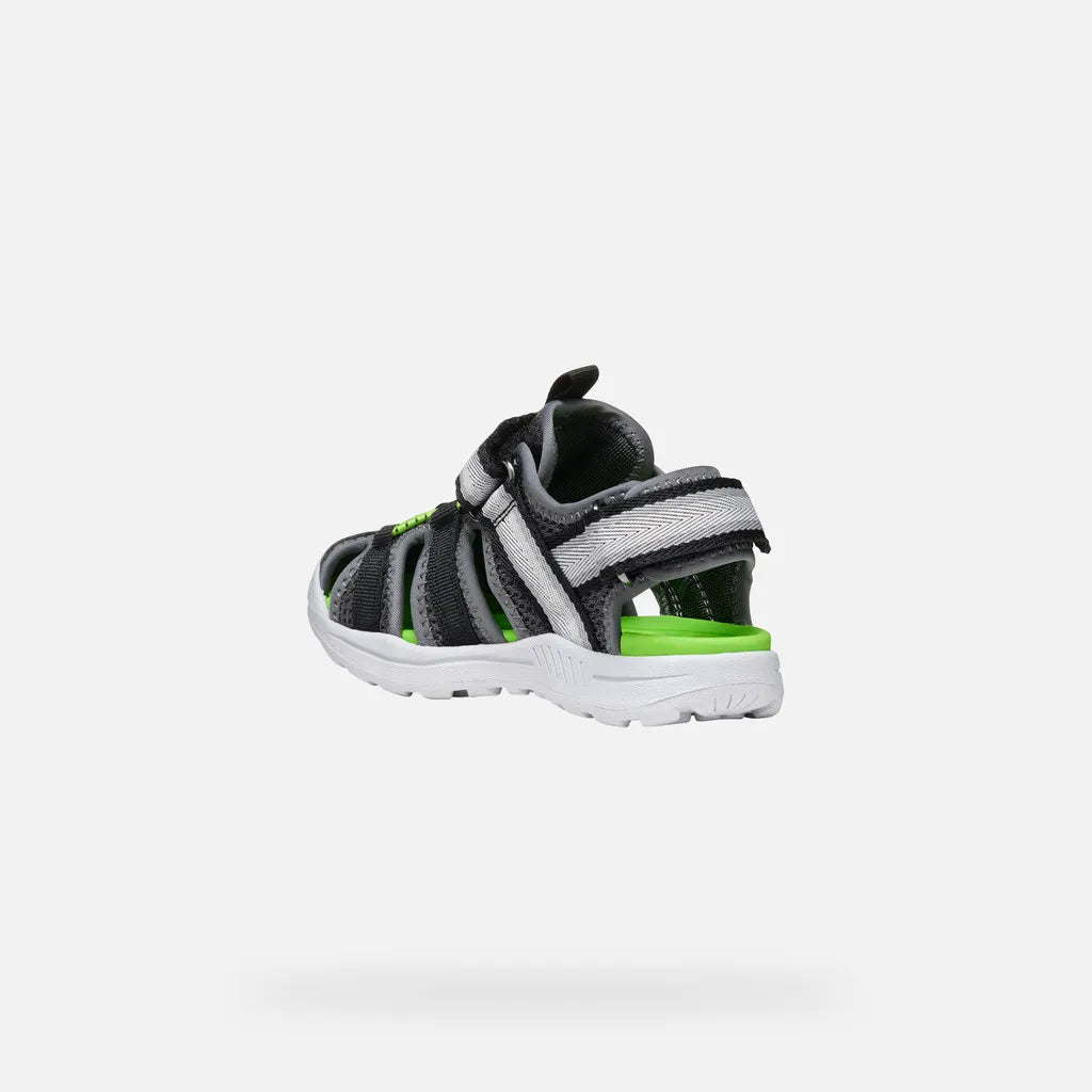 Dark Gray/Green