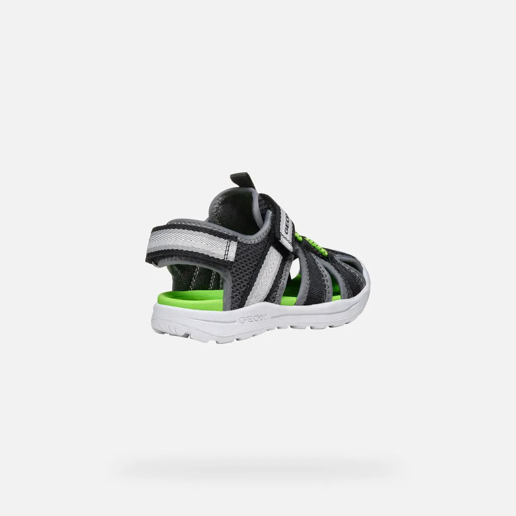 Dark Gray/Green