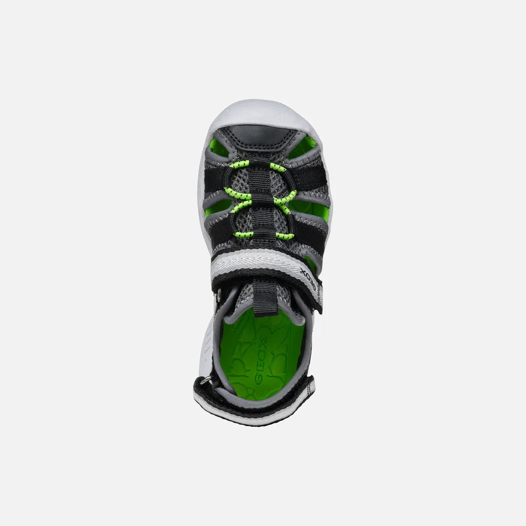 Dark Gray/Green