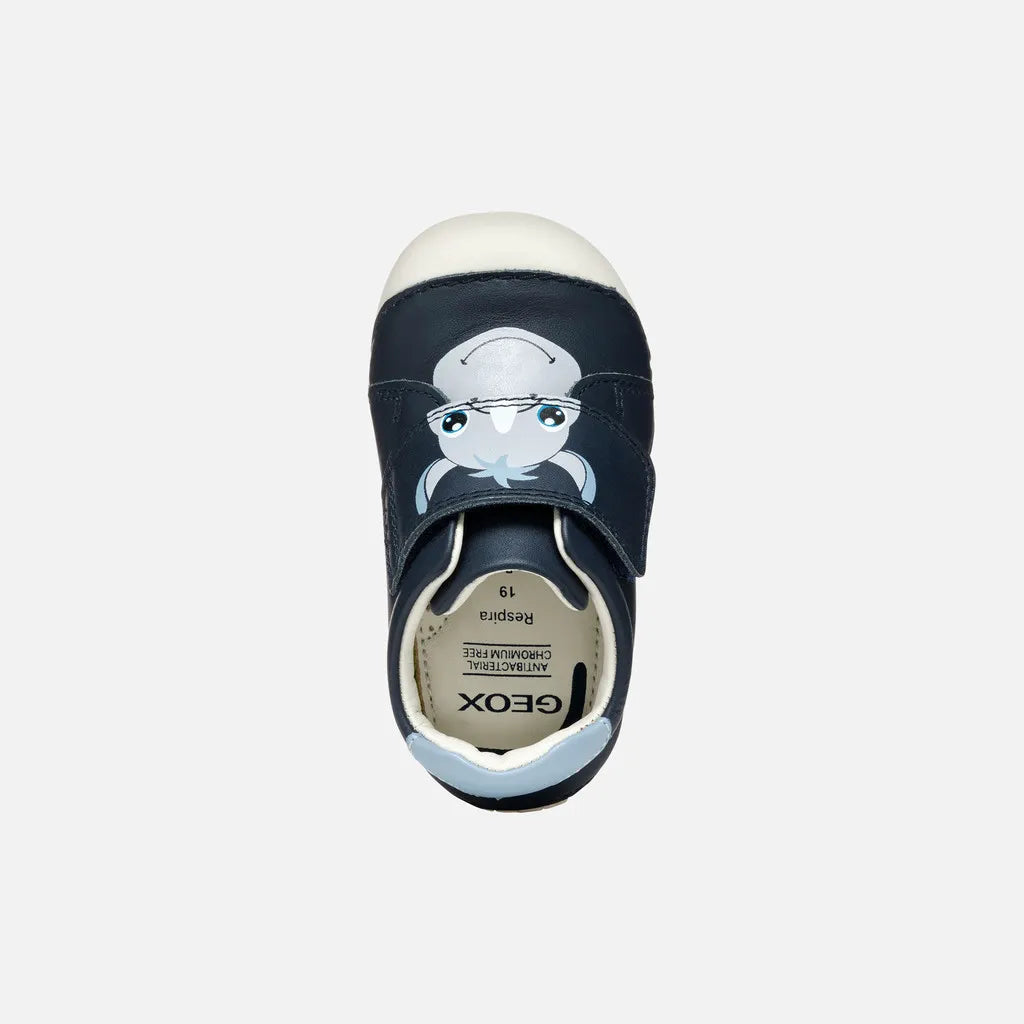 Navy/Light sky
