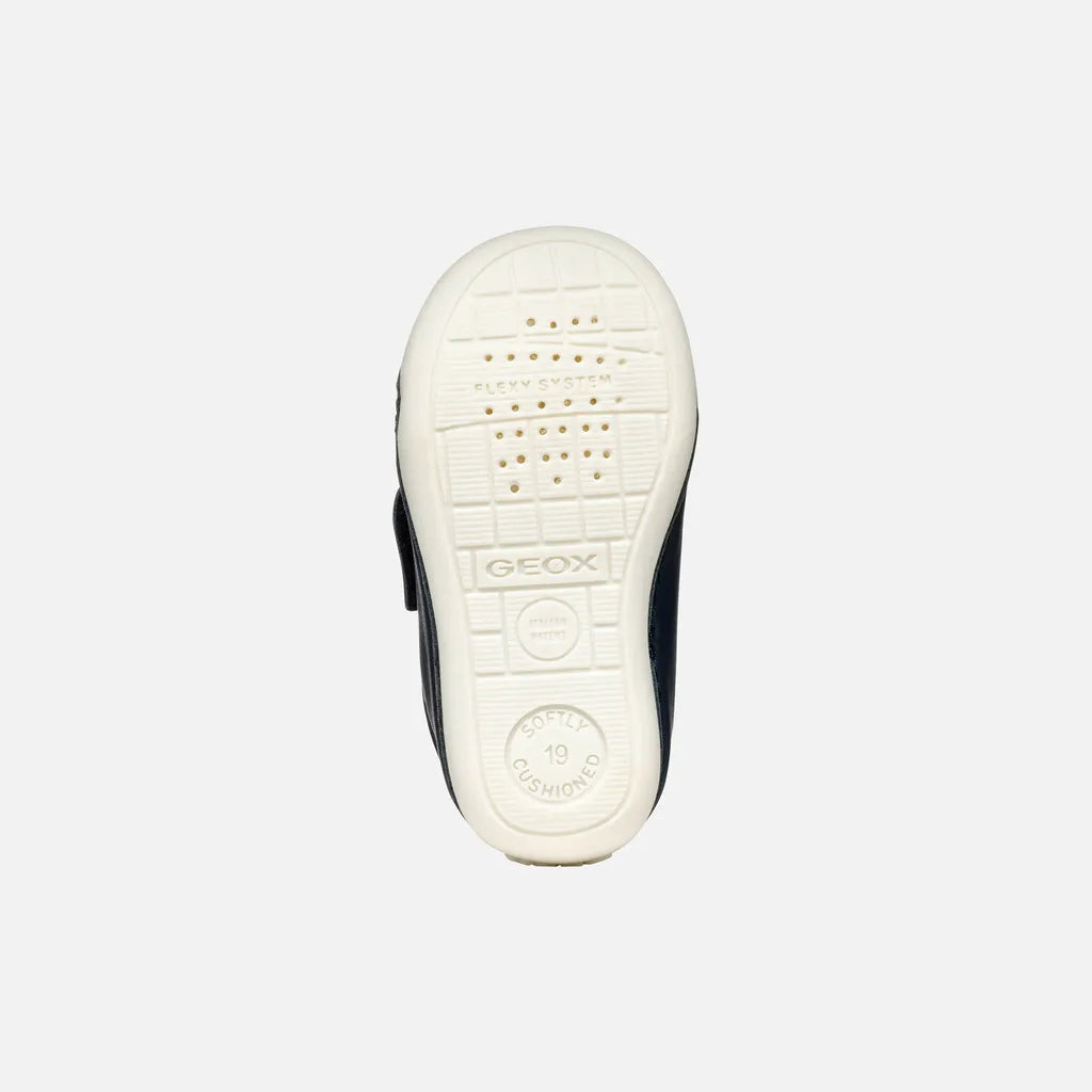Navy/Light sky