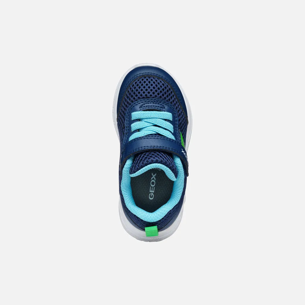 Navy/Light green