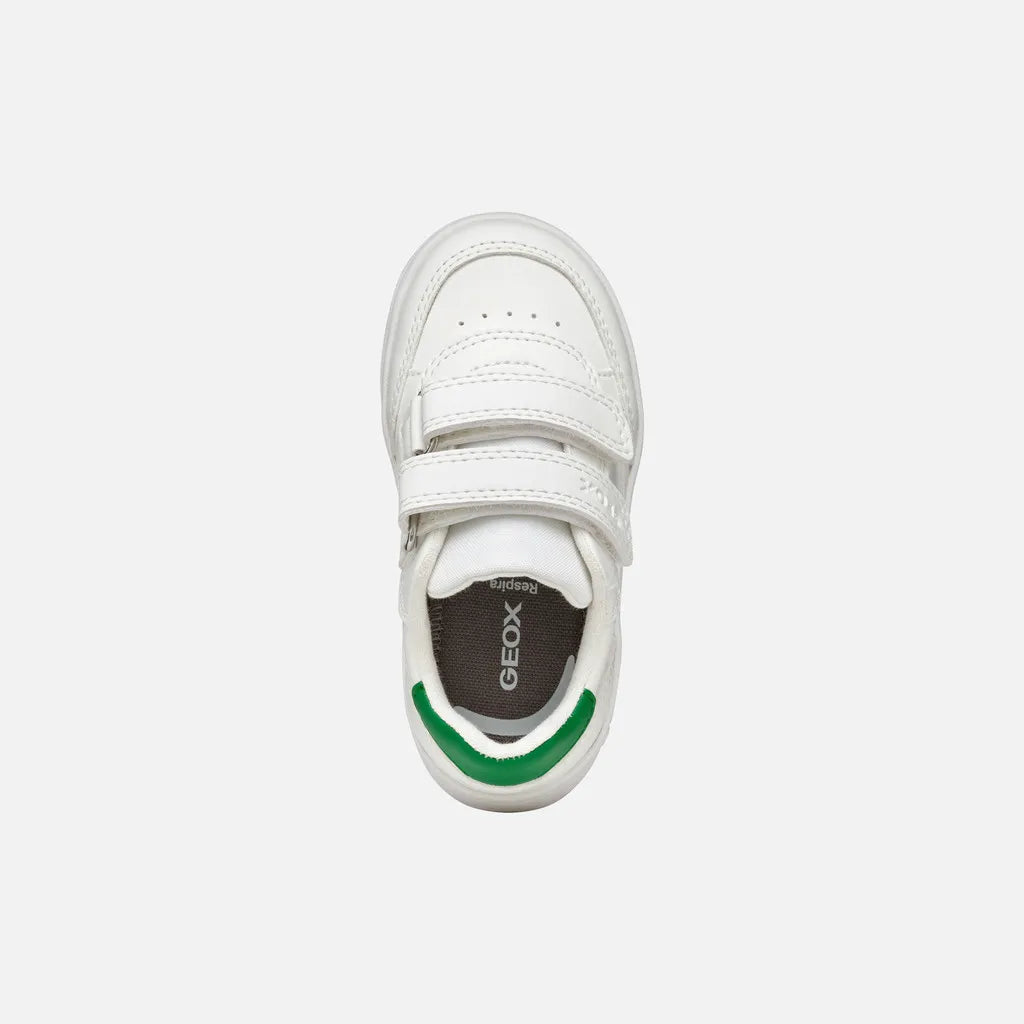 White/Green