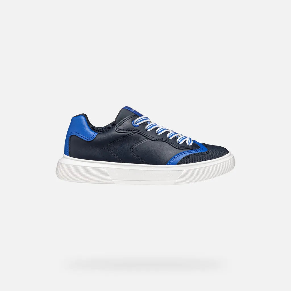 Navy/Royal