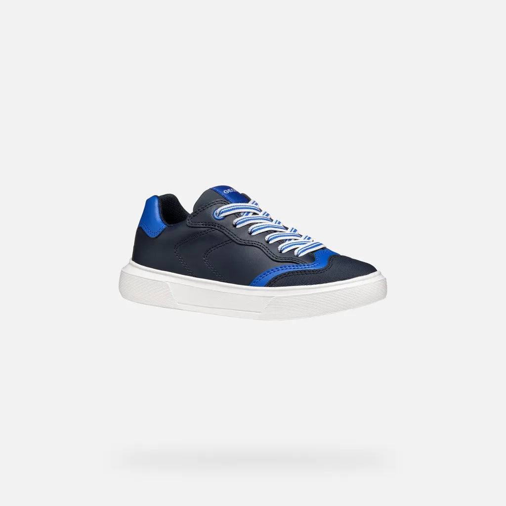 Navy/Royal